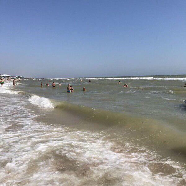 Оксамитовий сезон в Кирилівці: у мережу потрапили свіжі фото